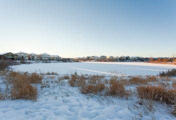 hamptons real estate liv.